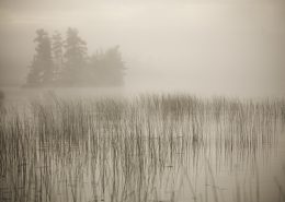 Lake of the Woods