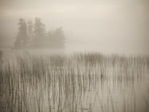 Lake of the Woods
