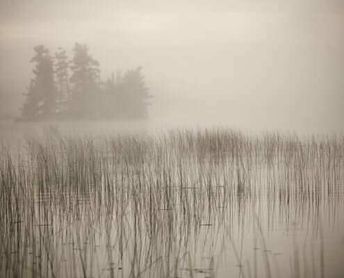 Lake of the Woods